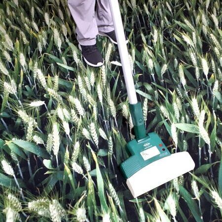 Bedruckte Teppiche und Schmutzfangmatten aus Fulda