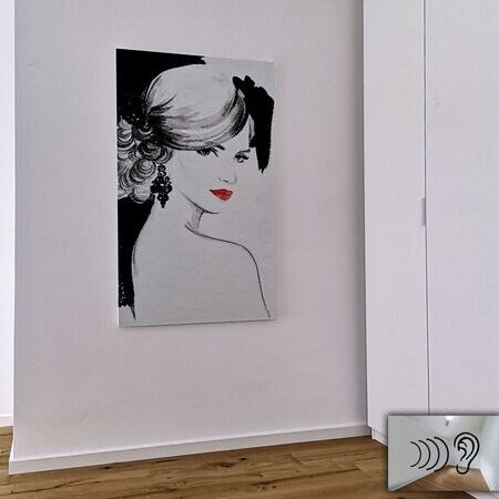 Schallschutz für Innenraum - Schallabsorber - Schallschlucker