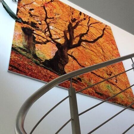 Rahmen und Wandbefestigung