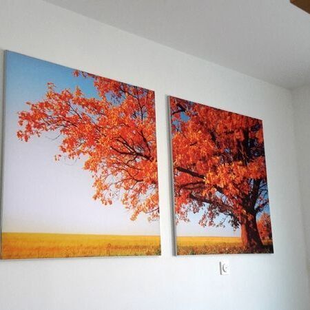 Rahmen Bedruckte Leinwände im Alu- und Leuchtrahmen aus Fulda