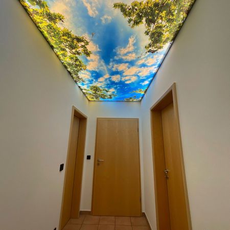 LED-Decke-Beleuchtet-LEDUP Bedruckte Leinwände im Alu- und Leuchtrahmen aus Fulda